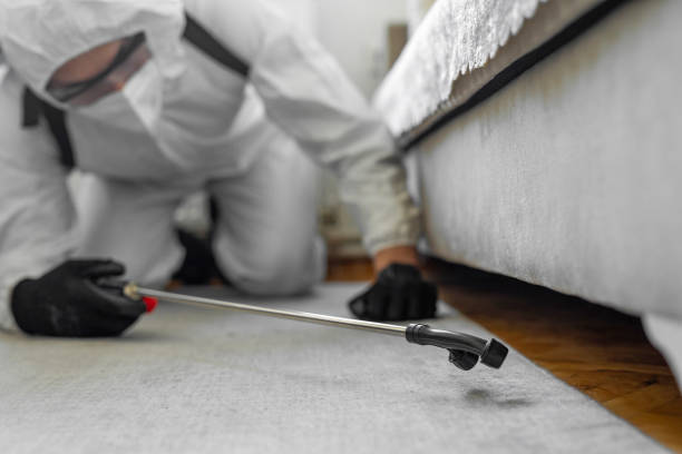Professional Termite Control technician working in Lattingtown, NY