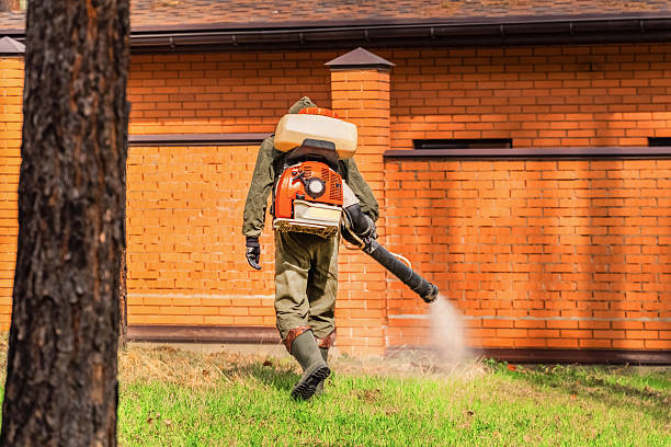 Trusted Mosquito Control service in Lattingtown, NY - Nex Pest Control